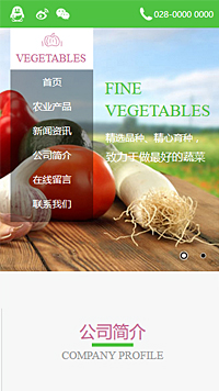 7601蔬菜公司蔬菜配送网站模板,网站制作,网站建设,软件开发,app开发,手机软件开发,电商平台开发,网上商城,购物网站